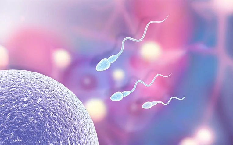 Male Infertility Solutions