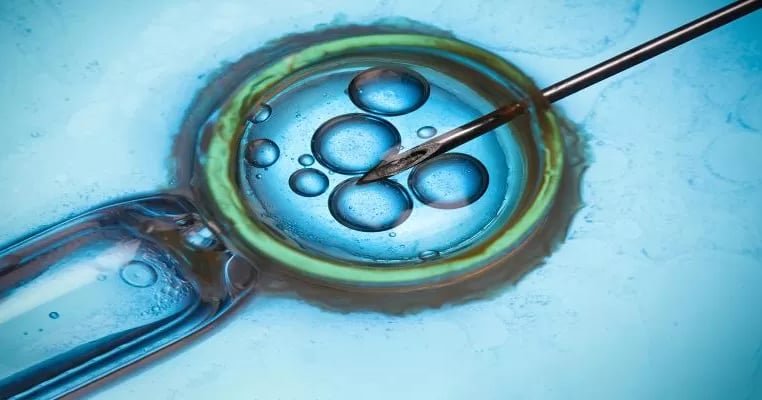 Third-Party Reproduction