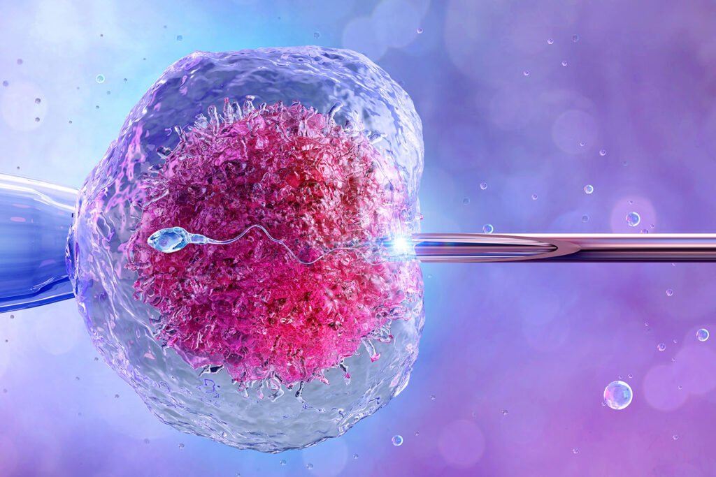 Gluten and Fertility