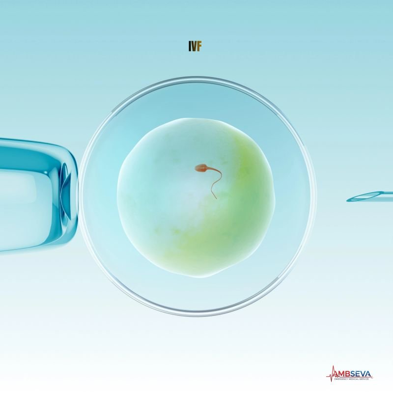 Egg Rejuvenation Proteins