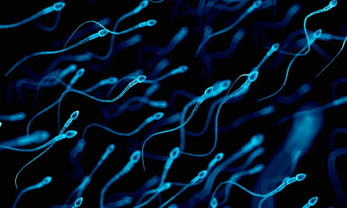 Microfluidic Sperm Sorting